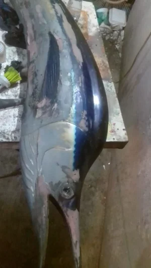 artenix fibra de vidrio restauracion